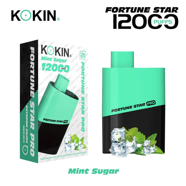 Kokin model 10000 puffs Vape Pod disposable