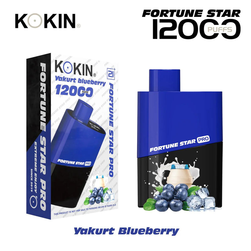 Kokin model 10000 puffs Vape Pod disposable