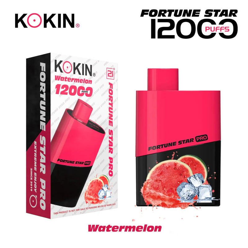 Kokin model 10000 puffs Vape Pod disposable