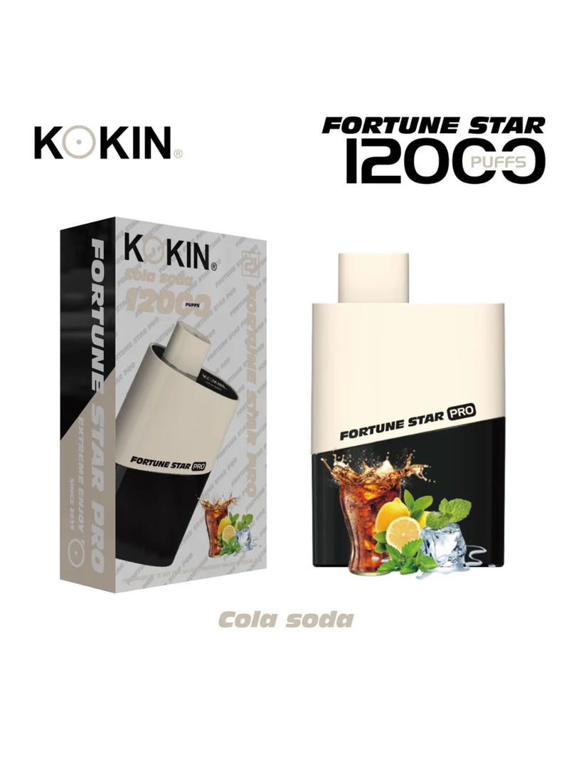 Kokin model 10000 puffs Vape Pod disposable